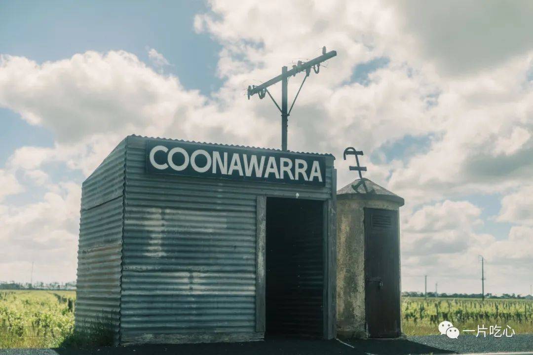 设拉子|这世上没有什么是一顿烧烤不能解决的……