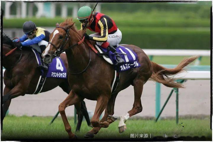 orfevre「黄金巨匠」(jpn),乃 2011 年度的日本马王,日本赛马史上第七