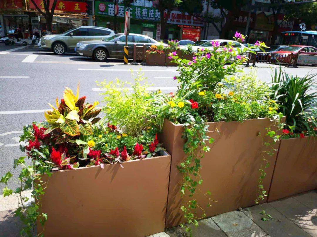 一只只咖啡色的花箱置于街头,各色花卉开得正艳.