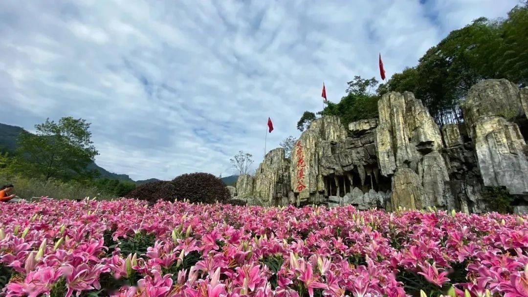 打卡大邑61天府花溪谷没想到吧景点还能这样玩儿