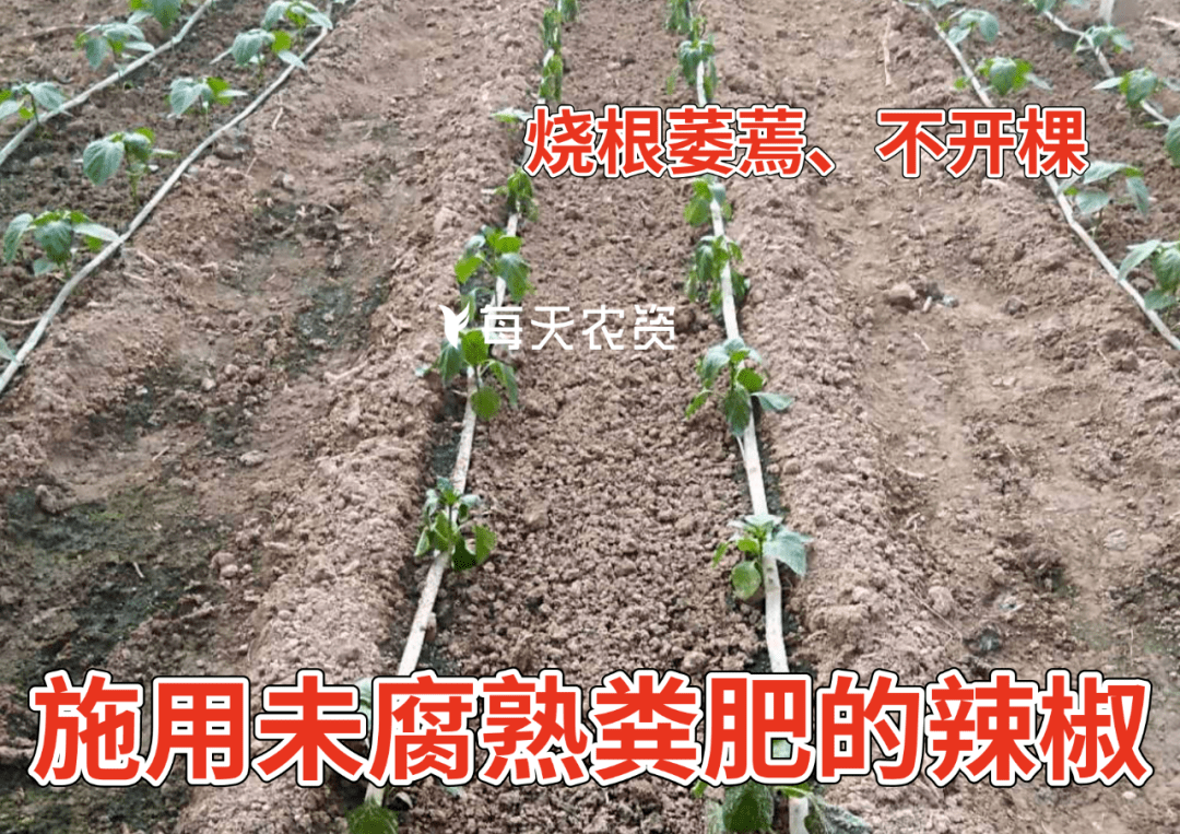 751d6984357e4843862b13dea2f1d8e6.png