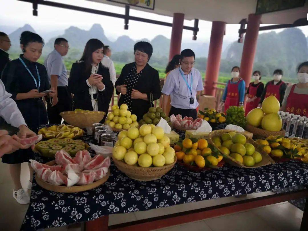 全区统一战线助力乡村振兴示范村和安全饮水工程现场推进会在桂林市