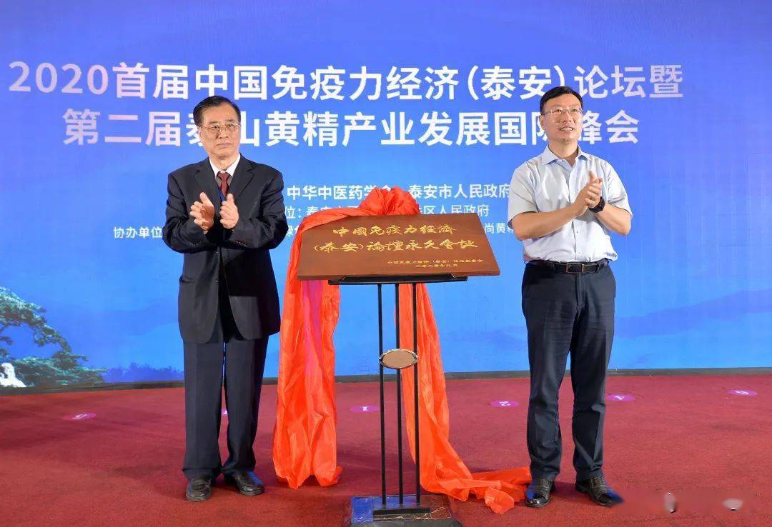 泰安经济总量2020_泰安徂汶景区2020规划