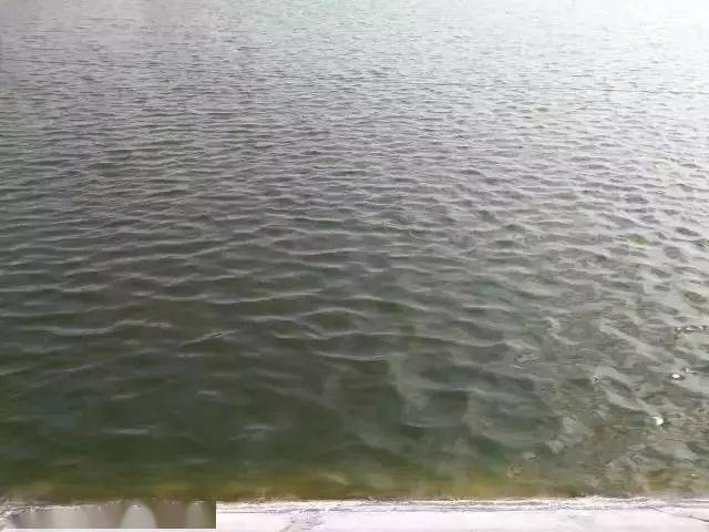 29d33a16873841d6a0d83b5140172a1f.jpeg