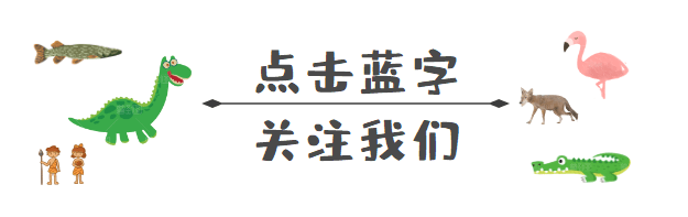 【科研速报】植硅体揭示广西娅怀洞遗址古人类植物利用