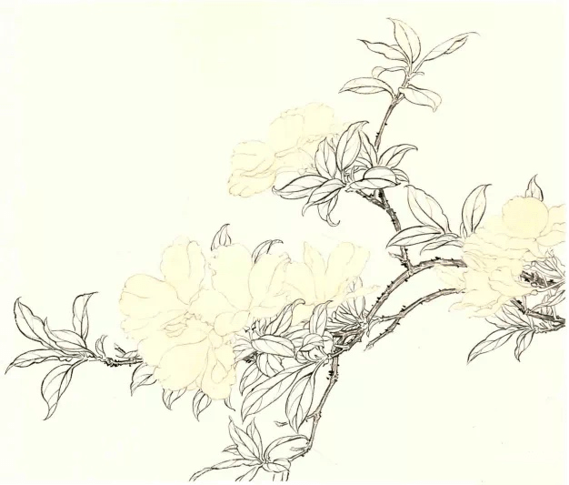 4a87525e590641bd9c7d889a9e2a706e.png