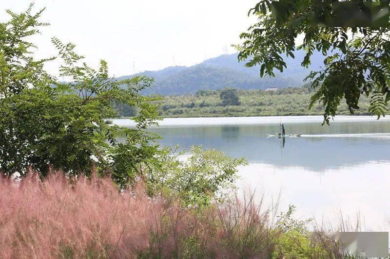 丽水地区有多少人口_躲开秋老虎 雁荡山最美摄影之旅报名中 来就送礼 送钱(3)