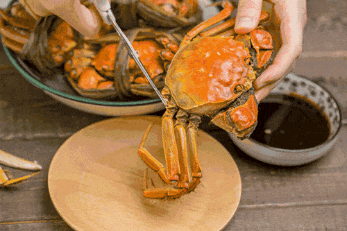 91dc71a84657488599594e06e18d9b5e.gif