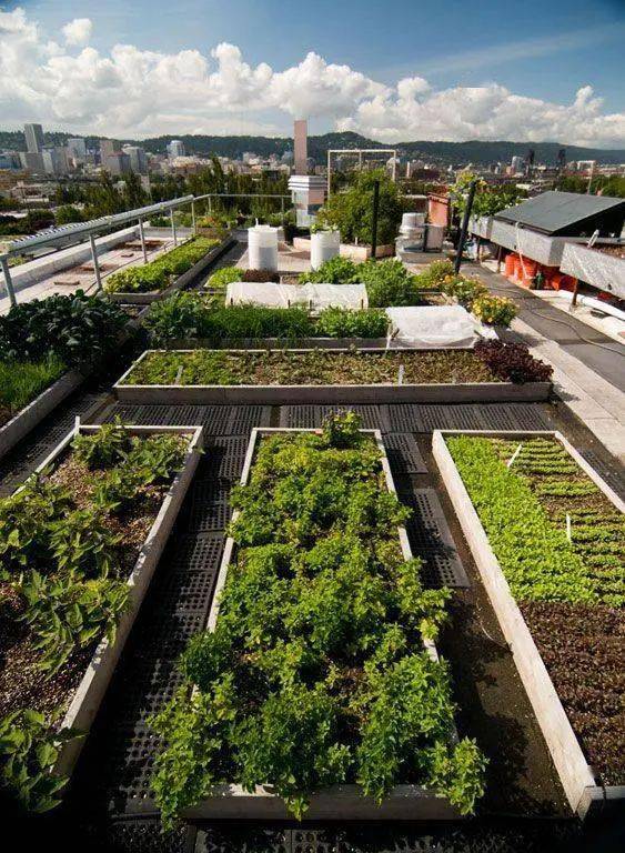 设计|学着这么去设计，美观与实用性上升好几倍露台别只懂得用来种菜