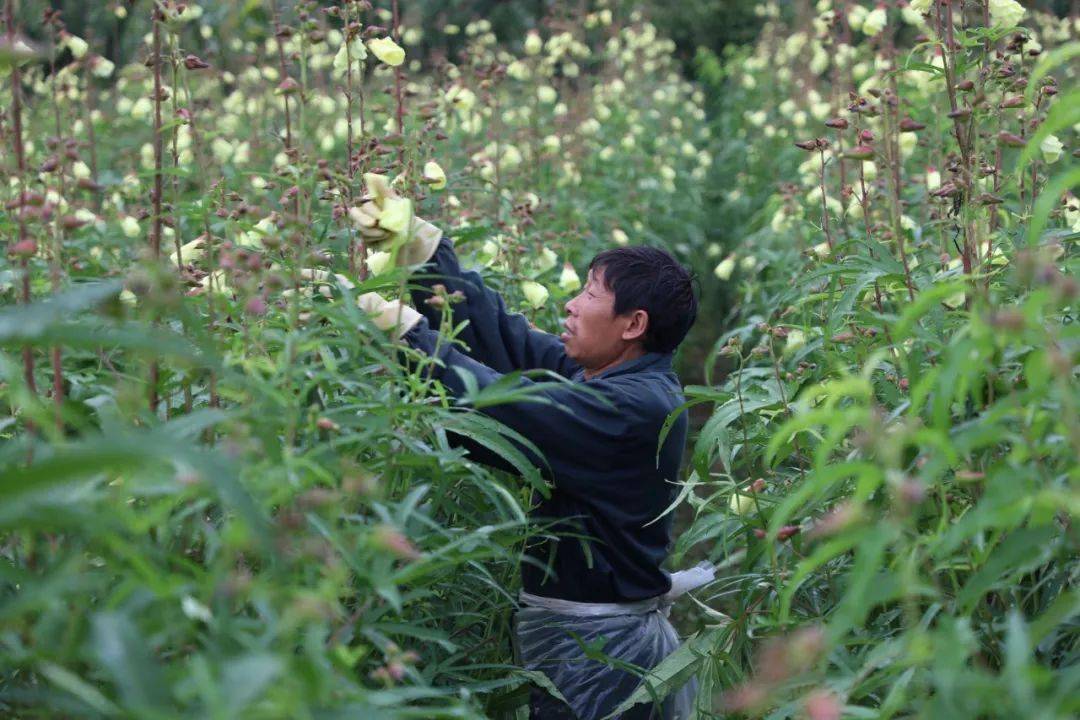 巫溪县尖山镇多少人口_巫溪县人民医院照片