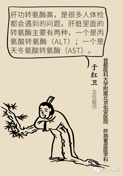 转氨酶|肝功转氨酶高就是肝硬化？未必！这几个指标才是重点