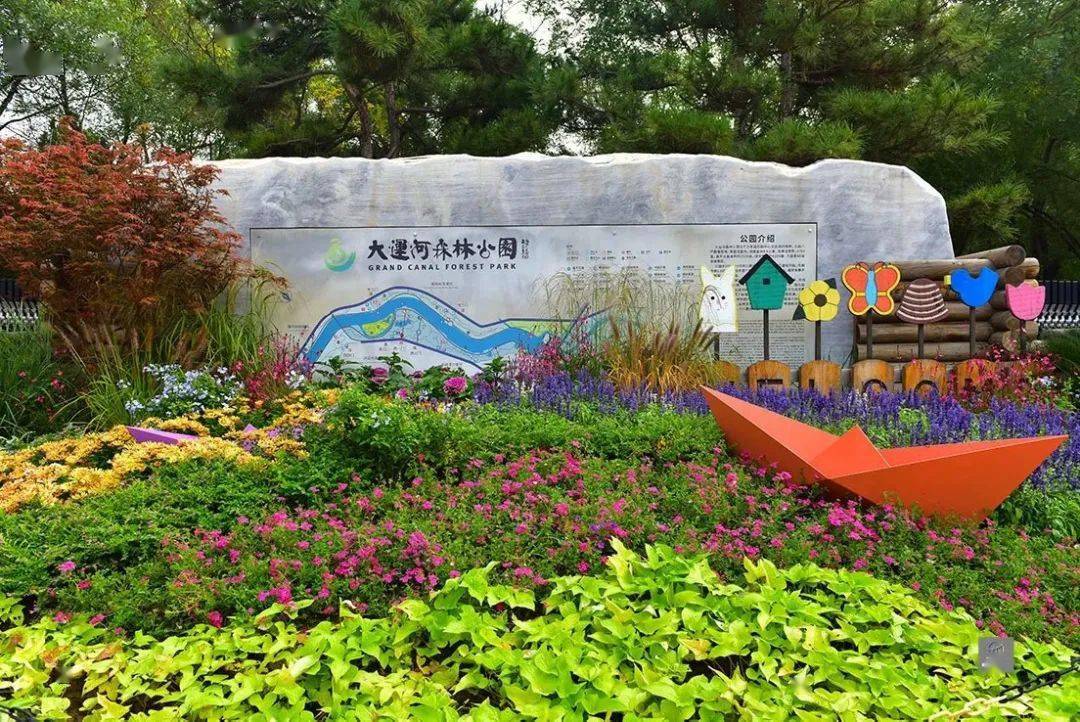 通州区大运河森林公园双节装扮太美啦!赶快预约打卡!