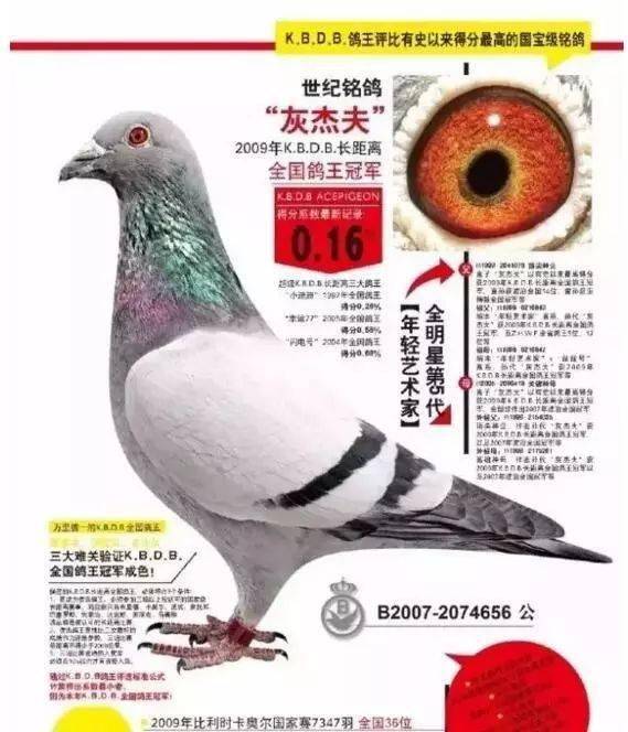 155ffd6bec6e4fdabca499fce27cd20a.jpeg