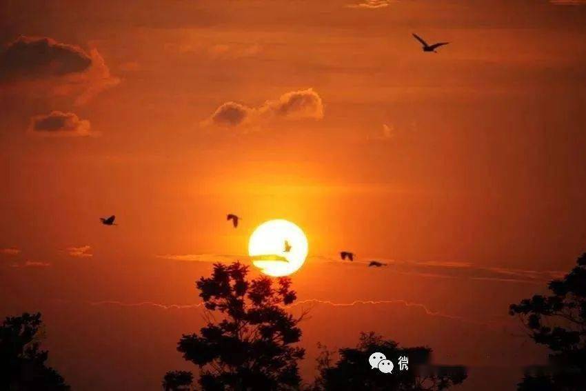 一次是黄昏时候,我自太庙中走出来