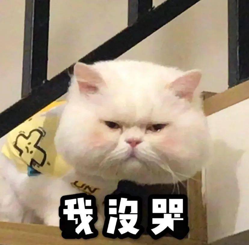 换季|连续3年卖空的牛油果霜 ！啥换季脸干都不怕，连我爸都偷偷涂 ！