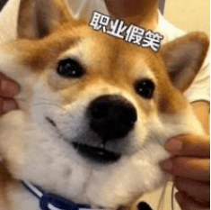 包包|小众+貌美+便宜!5款包包,ins爆火!