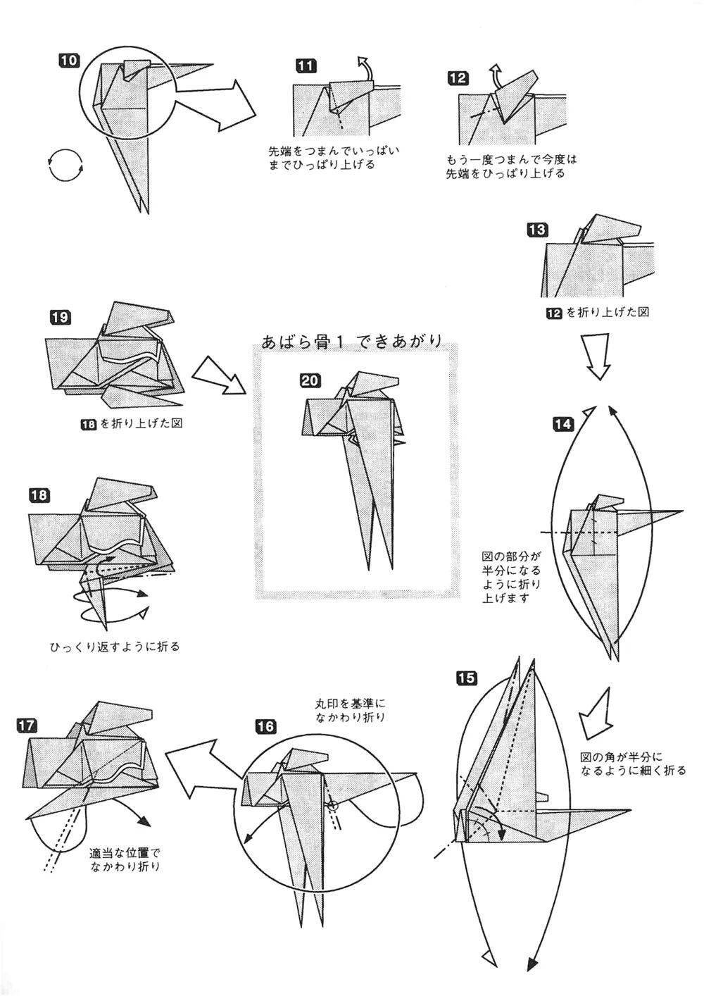 no.2220 折纸霸王龙骨架模型来了——胸椎1,2,3