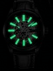 海鸥|做出中国第一块自制手表、空军一线飞行员标配，海鸥表凭什么？