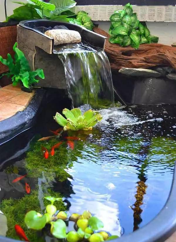 水景鱼池,你家里的只能算是玻璃缸_水为财
