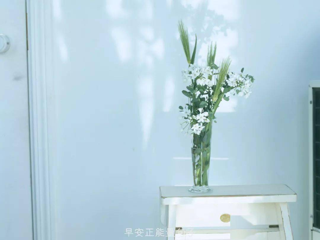 发朋友圈吸引人句子 微信朋友圈早安心语