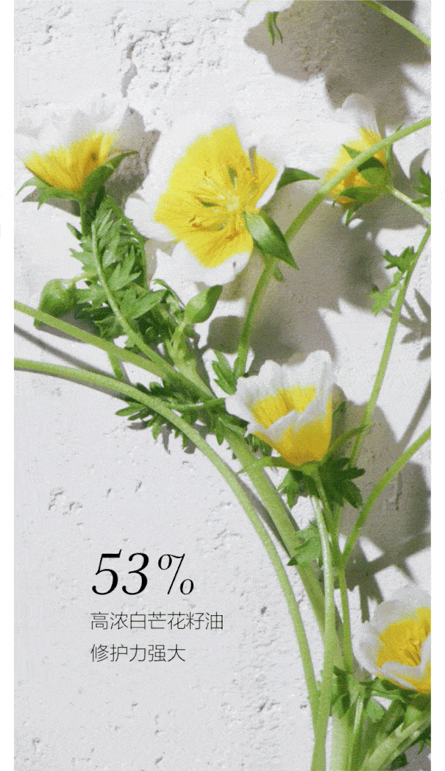 640_1108 竖版 竖屏