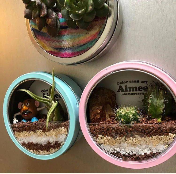 主妇|日本主妇都爱抢购百元店?推荐的这些小东西都卖疯了~