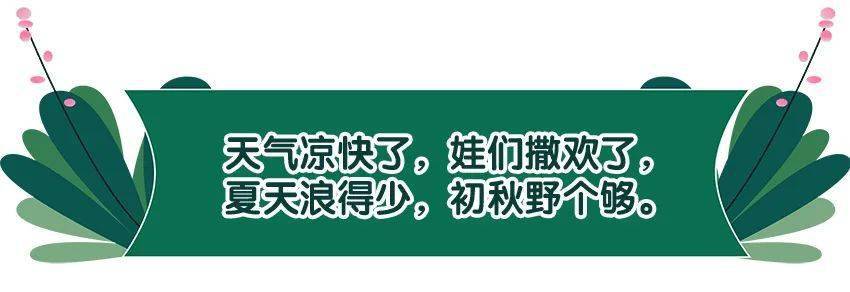 死亡|被虫叮咬进ICU？一个月内多人死亡，这不是危言耸听！