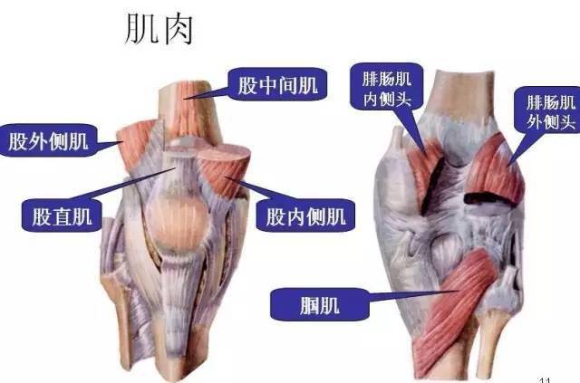 那些人容易得髌骨软化症?——漯河市二院中医针灸理疗