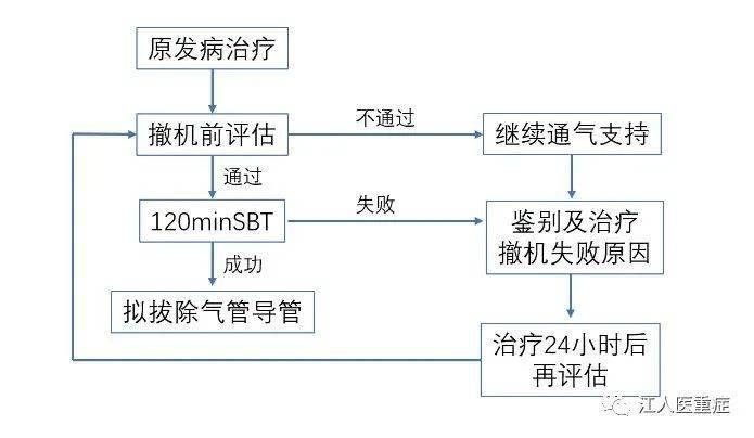 呼吸机撤机的细节和流程