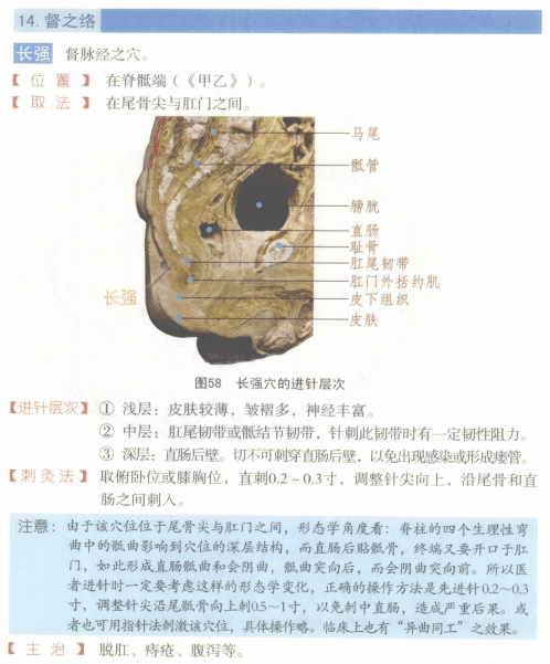 常用穴位解剖图谱(彩图版)