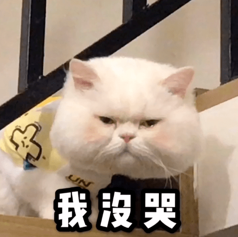 猫咪表情包我是莫得感情的杀手