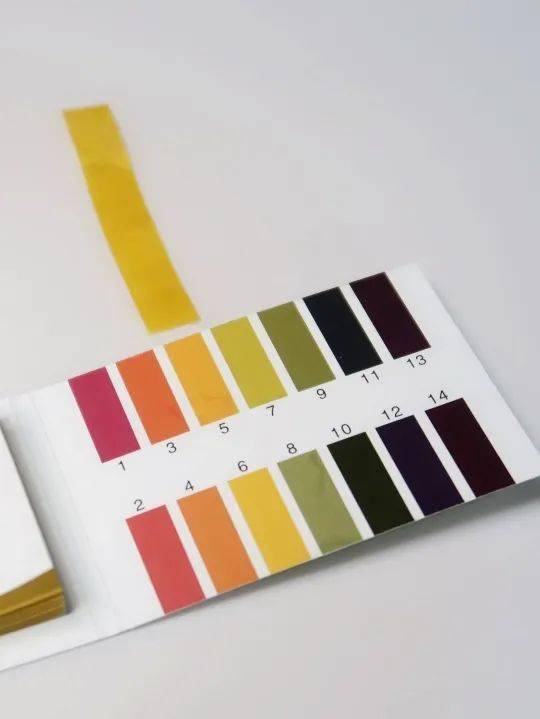 面膜|从内衣模特到老戏骨 如今她只能靠Angelababy搏关注？