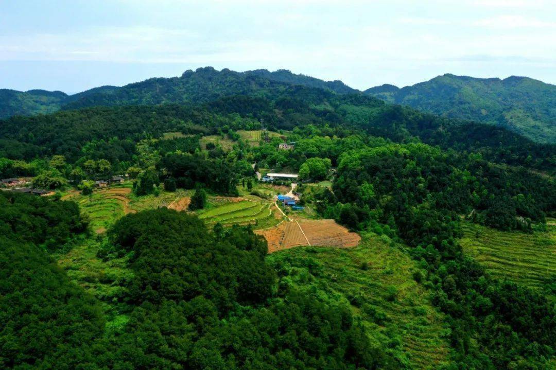 行走丨邻水铜锣山丛林的诗意栖居