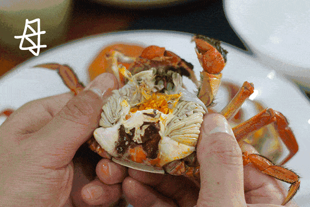 阳澄湖|什么是好吃的大闸蟹！咬一口“biu~”爆膏流黄15年老蟹农告诉你