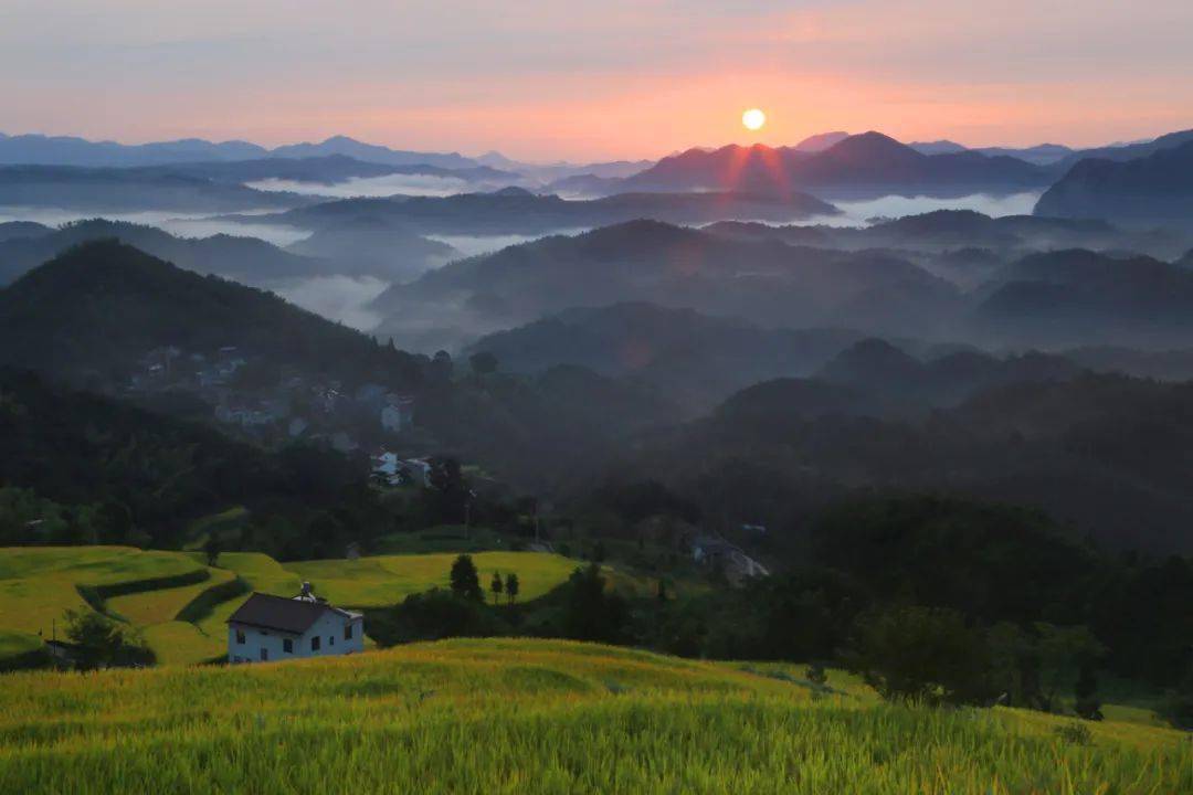 天台摄记之泳溪乡北山村最美人间九月天┃拍摄夏文娟