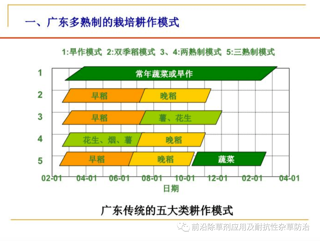 广东多熟制耕作栽培模式下除草剂药害发生状况与预防措施