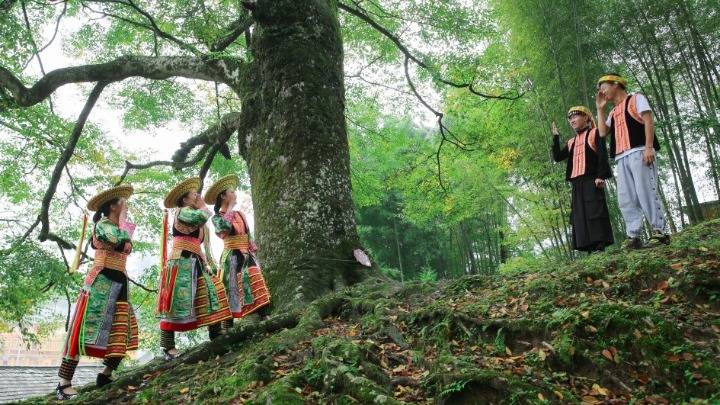 隆回|湖南隆回：学山歌 赏花瑶