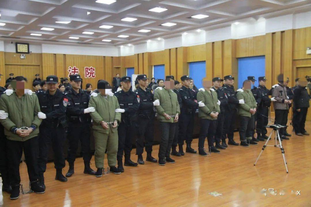 泰安市中院组织肥城市,新泰市,岱岳区三个基层法院对3