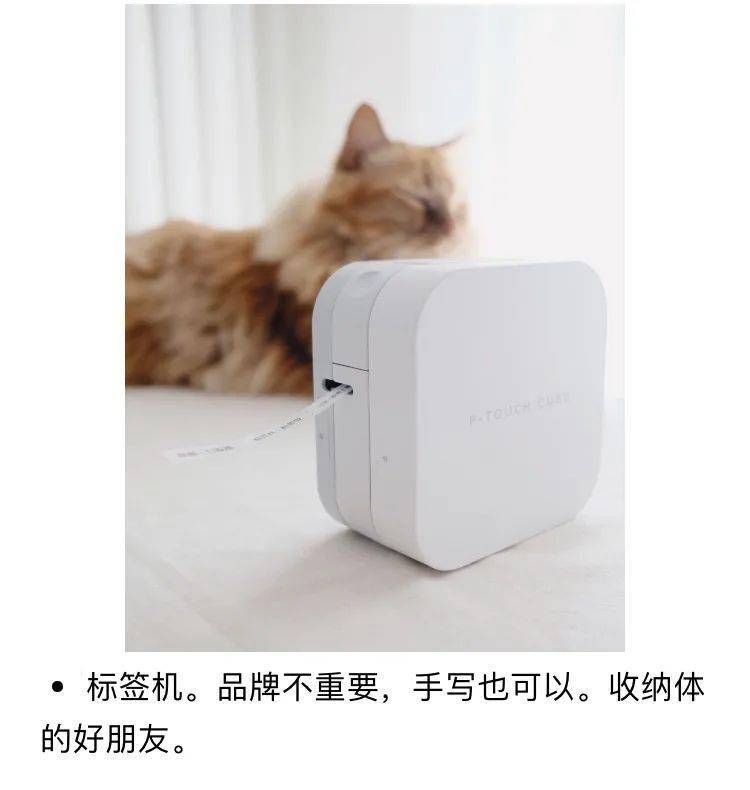 郑小颜|入住5年崭新如初？论清洁收纳，我最服她家