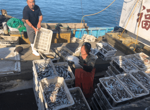 螃蟹|威海海鲜价格这样，快吃起来国庆假期