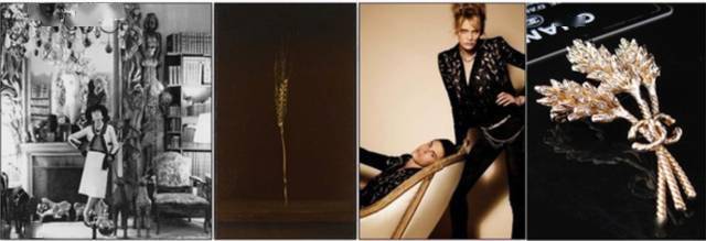 摄影|达利:疯狂的天才就是疯狂得无所不能