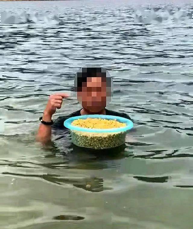 影响|共分为三个步骤钓大鱼的老玉米窝料制作方法