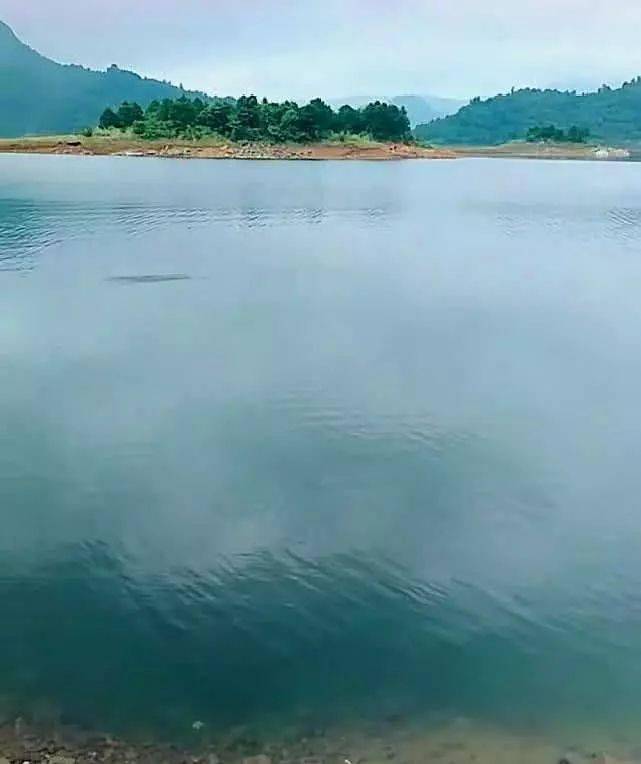 影响|共分为三个步骤钓大鱼的老玉米窝料制作方法