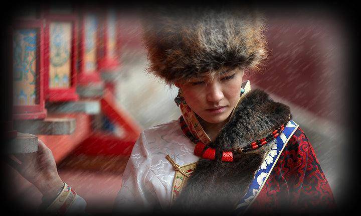 那一天降央卓玛简谱_那一天