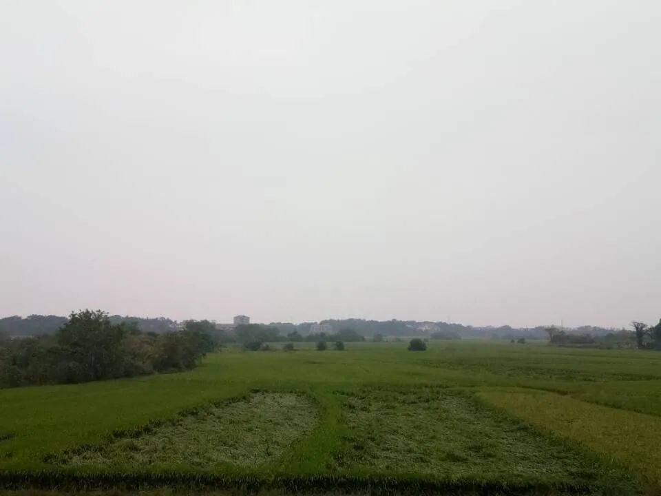 e51601304f9d4c2d9cf740e22d11fc0d.jpeg