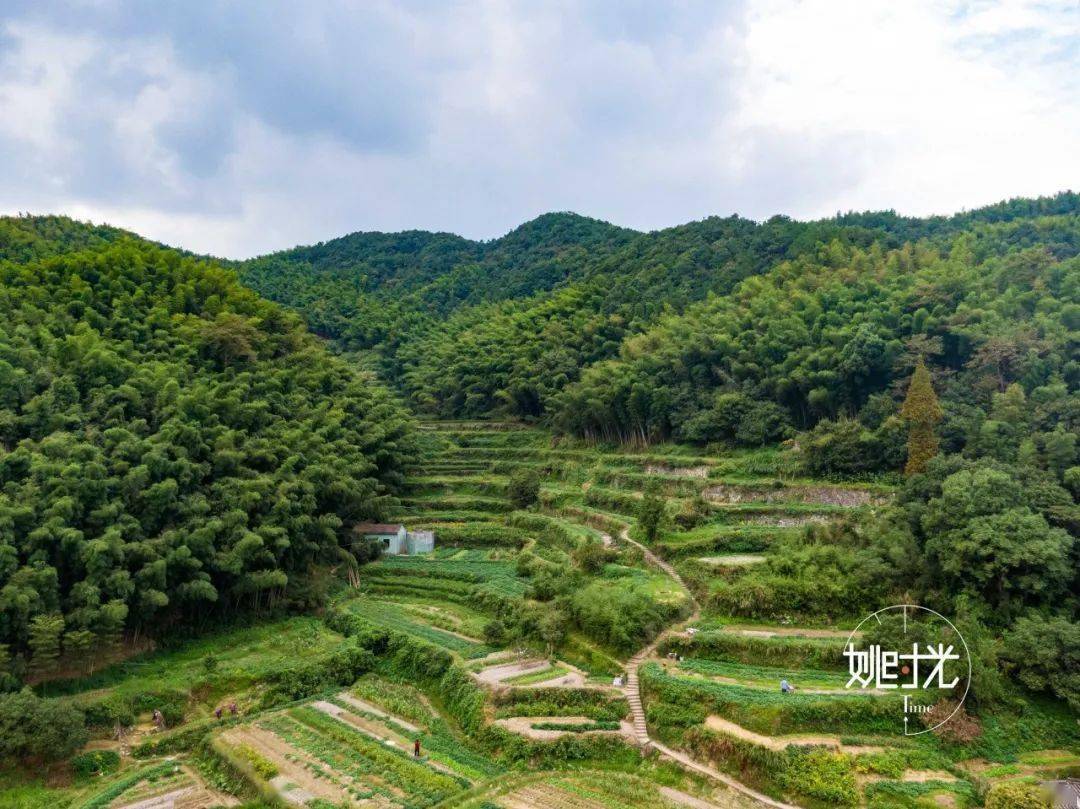 在宋岙村村口,有一处观景的好地方,穿过村口的一片竹林,便会看到一座