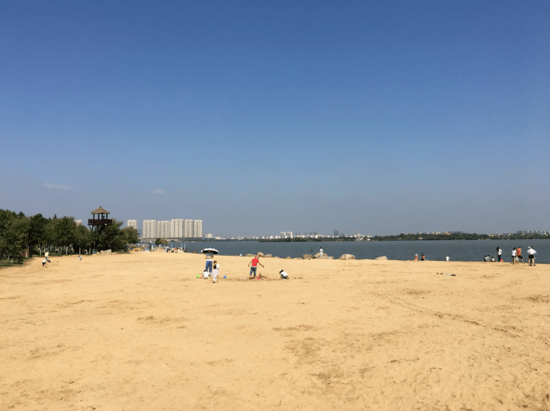 瑶湖郊野森林公园位于高新区麻丘镇,与瑶湖靠近,被市民称为"小