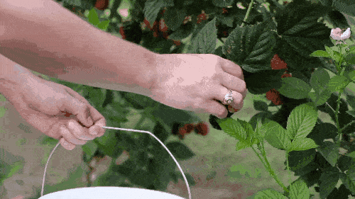 香水|祖玛珑香水小样五件套礼盒，5种经典味道驾驭所有场合～！