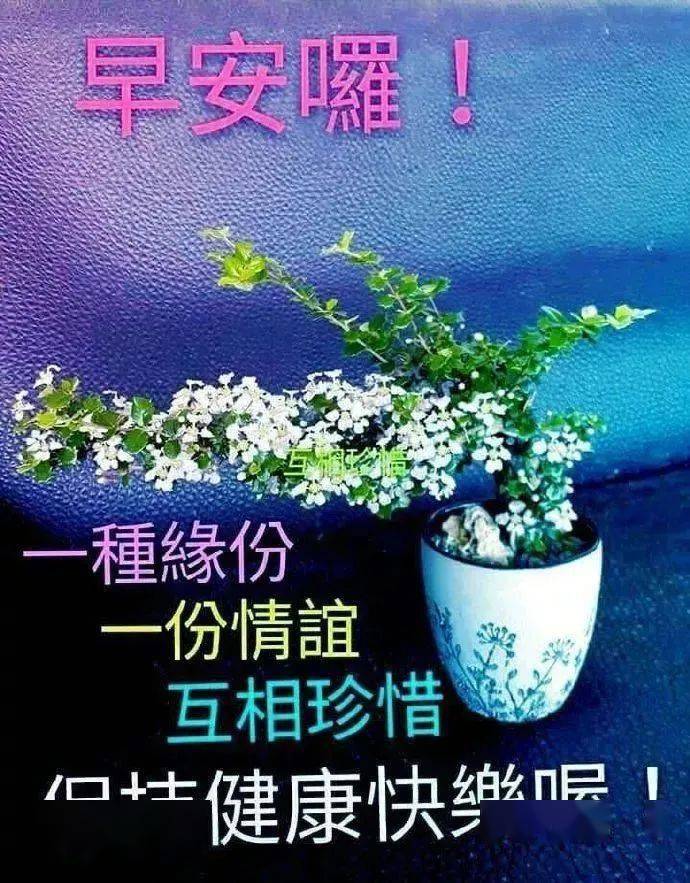 2020问候大家早上好动图表情图,清晨祝福早上好问候语