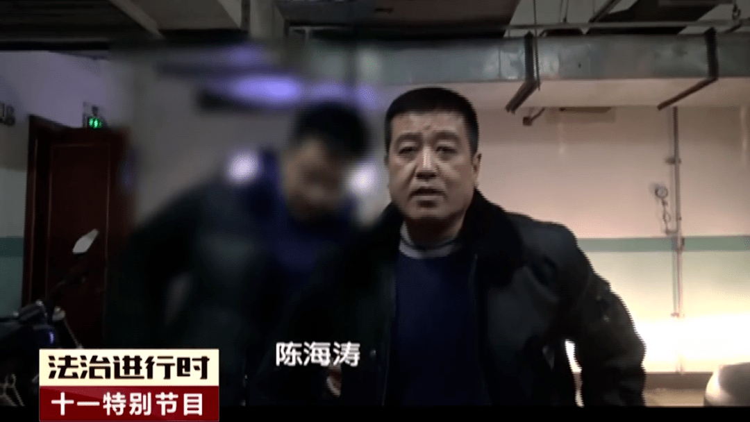 陈海涛为首的黑社会性质组织犯罪团伙覆灭记
